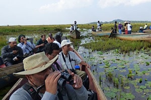 Mabamba Shoebill Tours Uganda Adventure Tours