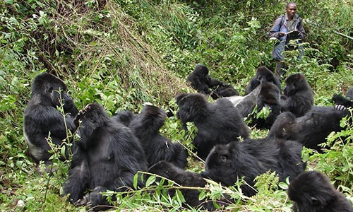 Rwanda Tourist Attractions