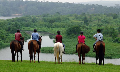 1 Day Horse Riding Tour in Uganda