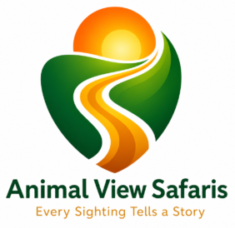Animal View Safaris 